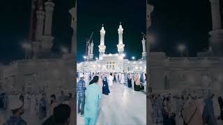 Islamic Arabic Naat Status In Arabic short arabic naat allahvideo viral trending shortsviral [upl. by Aitret]