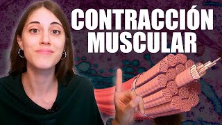 ¿Cómo funciona la CONTRACCIÓN MUSCULAR y qué significa LA HIPERACTINA [upl. by Odnanref952]