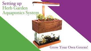 Aquaponics Setting Up The Herb Garden Aquaponics System [upl. by Towers]