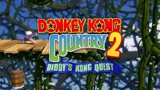 Donkey Kong Country 2 HD  Bramble Blast [upl. by Eeznyl]