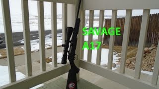 SAVAGE A17 [upl. by Jolynn]