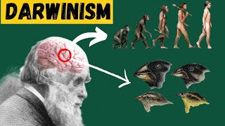 Unveiling Darwin Theory  Evolution Explained  Darwinism [upl. by Enitsrik561]