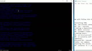 install svn tortoisesvn CentOS [upl. by Wheeler]