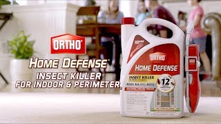 How to Kill and Protect Against Insects Indoors Using Ortho® Home Defense with Comfort Wand [upl. by Goodrow369]