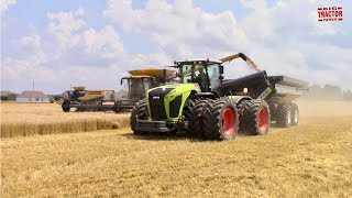 BIG GRAIN CARTS Moving the Wheat Harvest [upl. by Peednus]