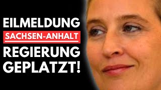 🚨EILMELDUNG REGIERUNG IN SACHSENANHALT GEPLATZT AfD LÄSST ALTPARTEIEN AUFFLIEGEN🚨 [upl. by Htims21]