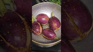 Andhra Style Stuffed Brinjal Fry  Spicy Gutti Vankaya Karam shorts recipe brinjalrecipe [upl. by Arias]