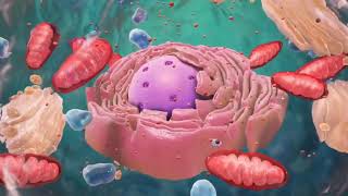 Introduction to Cell Organelles [upl. by Hollingsworth]