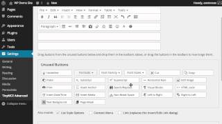 How to Use and Configure TinyMCE Advanced [upl. by Daegal]