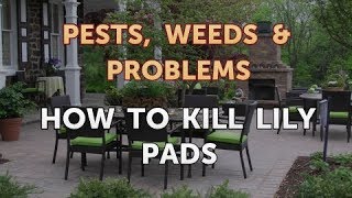 How to Kill Lily Pads [upl. by Payne]