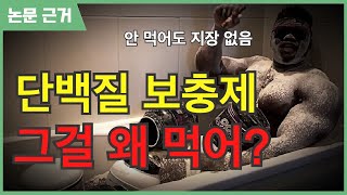 논문 근거 단백질 보충제 왜 드시나요 [upl. by Hsetih]