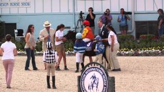 Shetland Ponies Exhibition at the DevonHS [upl. by Aneen]