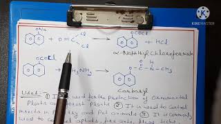 Carbamates synthesis  carbaryl carbofuran  uses [upl. by Georgianna374]