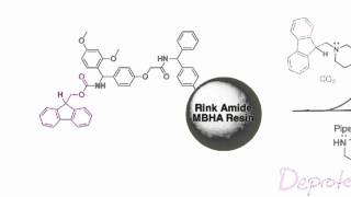 Fmoc Solid Phase Peptide Synthesis [upl. by Seyler]