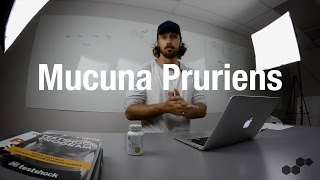 What Are The Benefits Of Mucuna Pruriens [upl. by Teodoro]