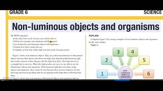 Non  luminous objects and organisms  11 [upl. by Armahs724]