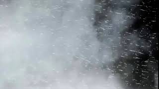 SNOWSTORMTRANSITIONwith sound Stockfootage [upl. by Starr425]