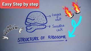 Ribosomes  Structure of Ribosomes  Easy step by step diagram of Ribosomes  Class 9th  Biology [upl. by Malonis790]