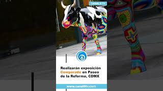 Realizarán exposición Cowparade en Paseo de la Reforma CDMX [upl. by Jarrid]