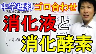 中学理科【ゴロ合わせ】「消化液と消化酵素」 [upl. by Elad]