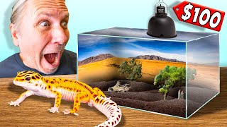 Cheap 100 Leopard Gecko Setup Tutorial [upl. by Eilojne]