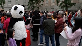 US Smithsonian Museum celebrates Chinese New Year [upl. by Carmelle]