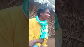 Pandaba dhulia funny video [upl. by Anaira]