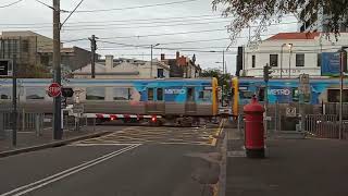 Prahran Station Level Crossing [upl. by Blackstock]