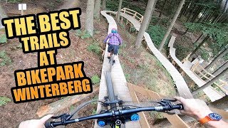 THE 3 BEST MTB TRAILS AT BIKEPARK WINTERBERG [upl. by Jorgenson]