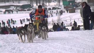 Schlittenhunderennen Inzell 2015 [upl. by Allista]