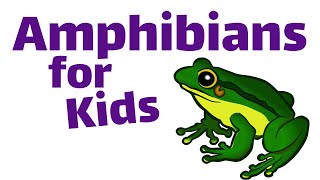 Amphibians For Kids [upl. by Naeruat]