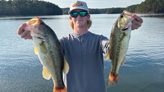 Fishing with Jigs and Alabama Rigs at Wedowee  Nov 2024 [upl. by Naeloj]