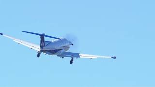 Pilatus PC12 NGX Takeoff Hayward [upl. by Annaiek]