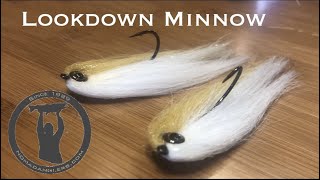 The Lookdown Minnow  GREAT Smallmouth Fly Pattern [upl. by Reckford983]