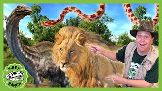 Dinosaur Adventure With Zoo Animals TRex Ranch Adventures for Kids [upl. by Nosneb]