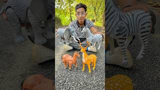 4 Big and Small Remote Control Animals Unboxing horse deer elephane🔥 [upl. by Cordalia]