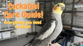 Cockatiel Care Guide  Everything You Need To Know  TheParrotTeacher [upl. by Johiah]