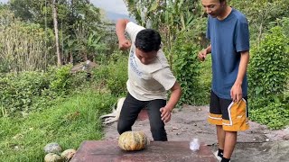 27Kg Pumpkin Challenge Pharsi🎃  Dipesh Twenty4 [upl. by Wey531]