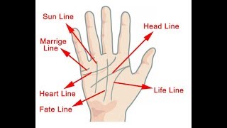 HOW TO READ YOUR OWN PALM LINES [upl. by Jerold]