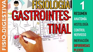 FISIOLOGIA GASTROINTESTINAL  RESUMEN Estructura Control Nervioso SN ENTERICO Sistema Digestivo1 [upl. by Heimer]