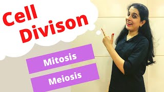 Cell Division Mitosis and Meiosis ICSE Class 10 Biology [upl. by Hillel]