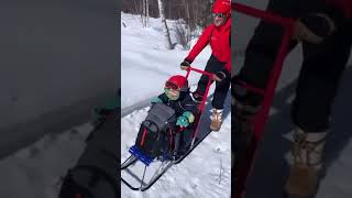 Kicksledding Talkeetna Alaska [upl. by Joana]