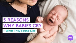 5 Basic Reasons Why Babies Cry What They Sound Like and What They Mean  What to Expect [upl. by Crain]