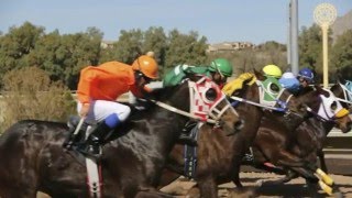 Tucsons Rillito Park  Horse Races [upl. by Holt]