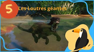 Planet Zoo SpeedBuild  Vue du Ciel  Un bassin pour les Loutre Géantes [upl. by Lisan807]