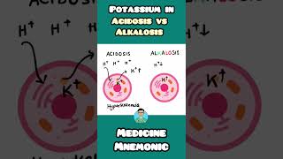 Potassium levels in Acidosis vs Alkalosis  Hypokalemia vs Hyperkalemia NEET PGNCLEX INICETUSMLE [upl. by Sullecram]