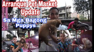 Arranque Pet Market Update [upl. by Losse226]