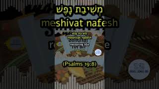 Simchat Torah 5 of 10 Torat Hashem Temima Israel Learn Hebrew Bible and Timeless Jewish Prayers [upl. by Knowle]