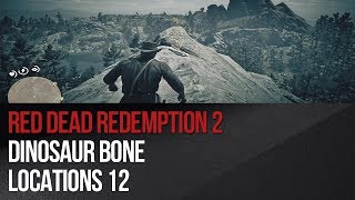 Red Dead Redemption 2  Dinosaur Bone Locations 12 [upl. by Deirdra]