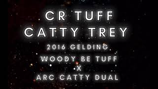 CR TUFF CATTY TREY— 2016 Gelding [upl. by Kerby]